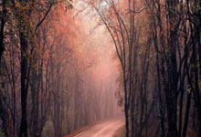 3377体育:对不起,老婆!实在没抗住,这传世自动拾取,自动回收,自由交易.