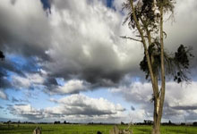 3377体育:获中国当局发放养老保障金 全红婵老后可月领1170元.