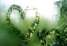 3377体育:女排主帅即将出炉!赵勇领先匡琦滤镜被打破,或有国产黑马涌现.