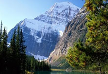 全市场:药厂询问了基维奥尔的情况,他想要更多的出场时间.