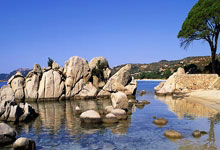 国际奥委会第144次全会落幕.